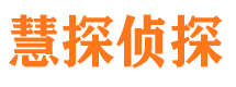 大新侦探